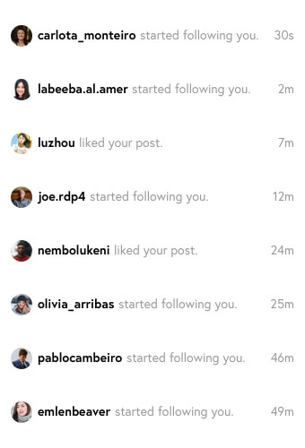 a screenshot of an Insta model getting more Instagram followers and likes